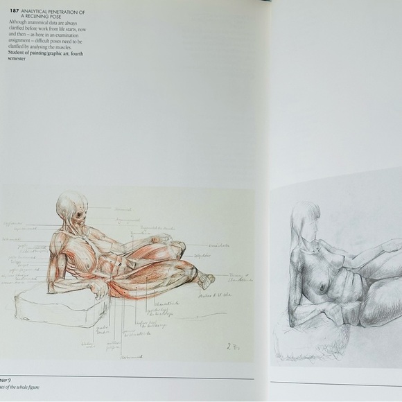 The Artists’ Guide to Human Anatomy An Illustrated Reference Hardcover Book - Picture 14 of 16